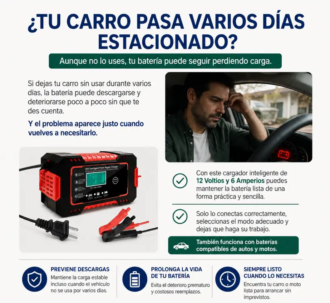 Cargador bateria 12V 6A