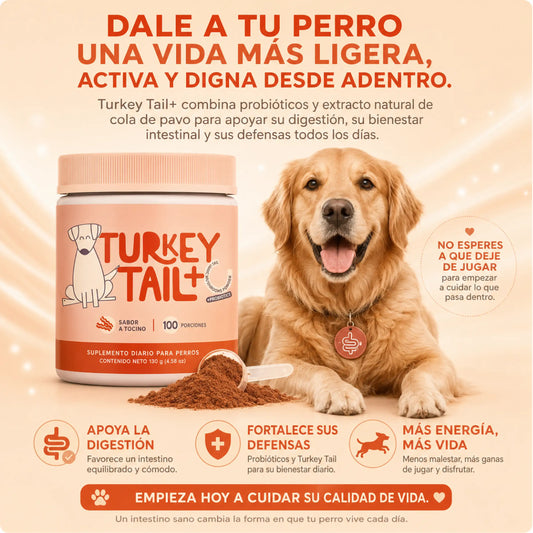 PROBIOTICO MASCOTA TURKEY TAIL+