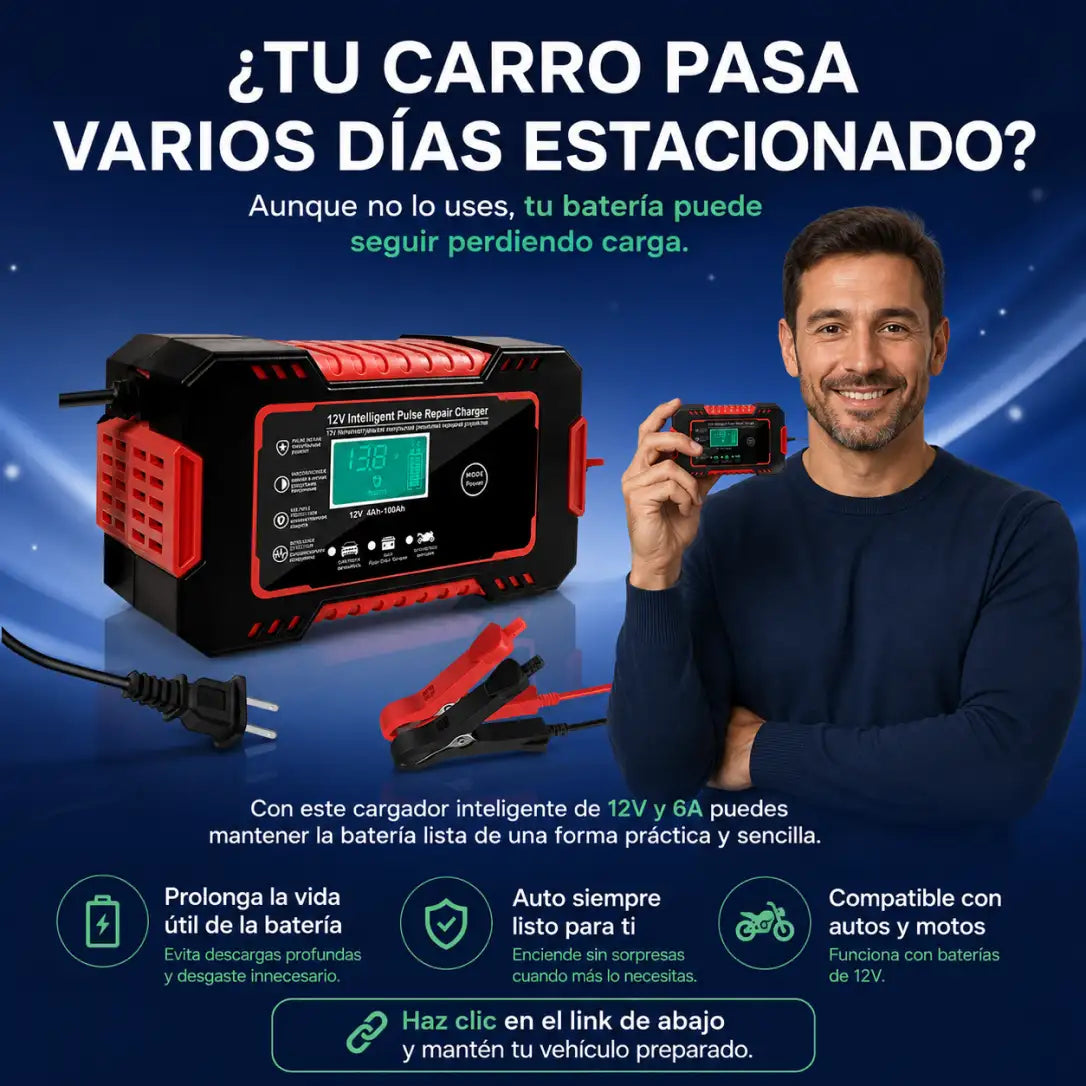 Cargador bateria 12V 6A