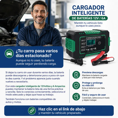 Cargador bateria 12V 6A